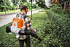 Operator using STIHL BA110115921 cordless backpack blower for commercial hedge and landscape maintenance in an urban green space.