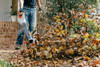 STIHL BGA 60 cordless leaf blower kit removing dry leaves and debris from a home walkway with efficient battery-powered operation.