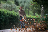 User operating STIHL BG 86 27.2cc gas leaf blower to clear leaves and debris from a garden walkway and landscaped area.