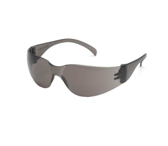 Pyramex Intruder Gray Lens Eye Protection