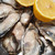 SLURP YOUR OYSTERS X THE CHEESE SHOP Cheese & Wine Night 21 June RIVER VALLEY