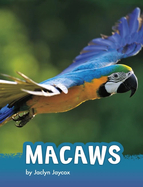 Macaws (Animals)