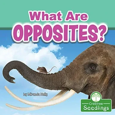 What Are Opposites? (Early Learning Concepts) - Library Binding