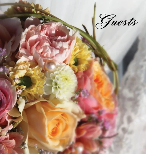 Wedding Guest Book (Hardback), Visitors Book, Comments Book, Guest Comments Book, House Guest Book, Party Guest Book: For Weddings, Special Events & ... Housewarmings, Parties, House Guests