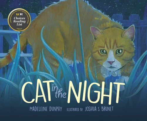 Cat In The Night