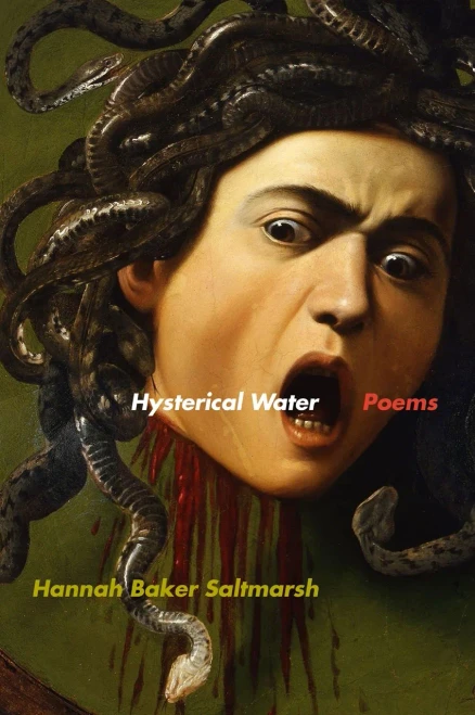 Hysterical Water: Poems (Georgia Review Books Ser.)