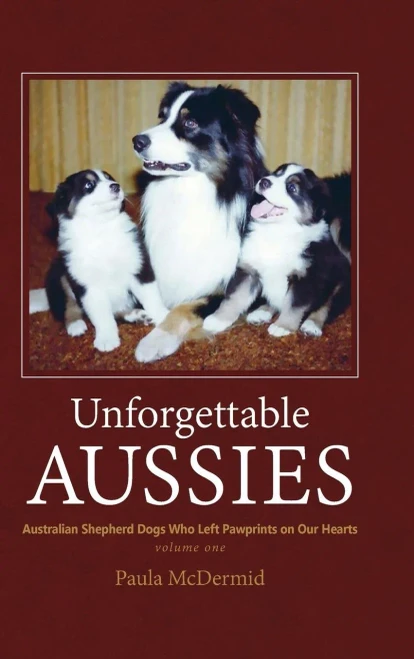 Unforgettable Aussies: Australian Shepherds Who Left Pawprints On Our Hearts
