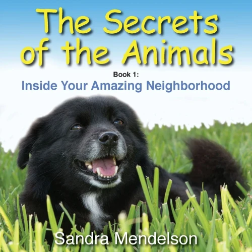 The Secrets Of The Animals: Inside Your Amazing Neighborhood (1)