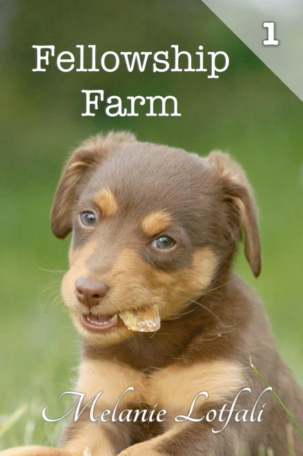 Fellowship Farm 1: Books 1-3 (1)