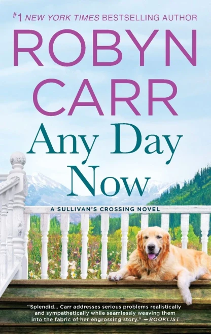 Any Day Now (Sullivan'S Crossing, 2)