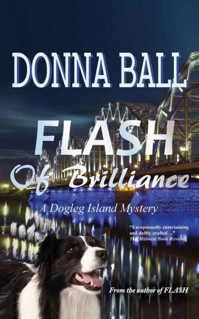 Flash Of Brilliance (Dogleg Island Mystery)