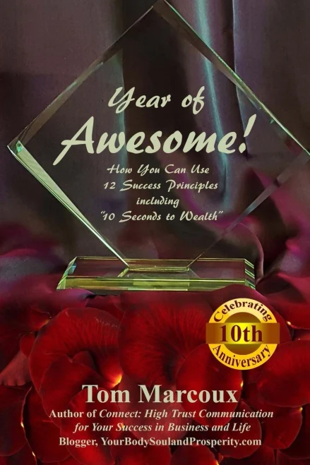 Year Of Awesome!: How You Can Use 12 Success Principles Including 10 Seconds To Wealth