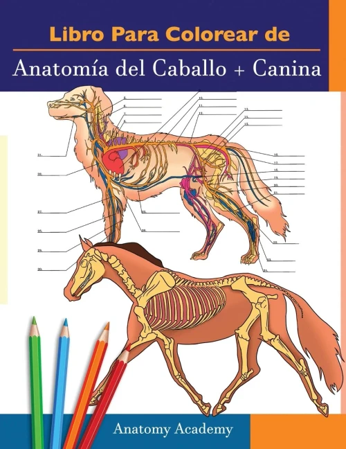 Livro para pintar de Anatomia do Cavalo + Canina: Compilação 2 em 1 | Livreto a cores de auto-avaliação muito detalhado para estudar Anatomia Equina e ... e Amantes de Animais (Portuguese Edition)