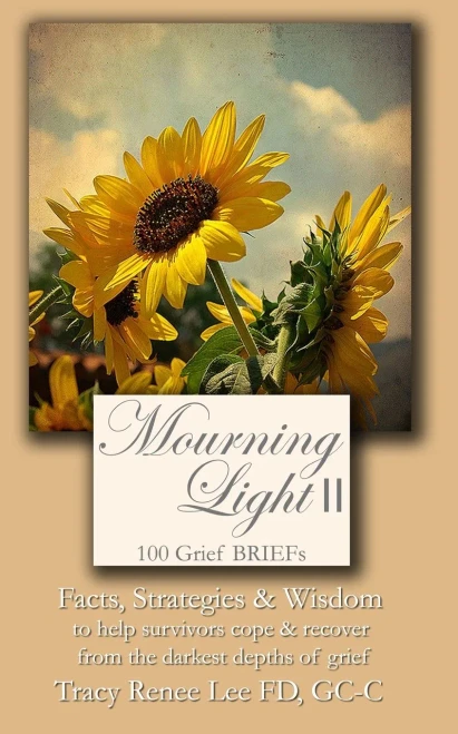 Mourning Light Ii: 100 Grief Briefs