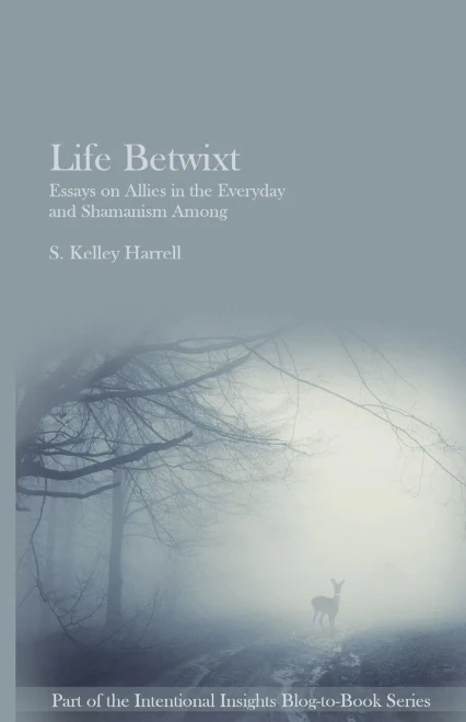 Life Betwixt: Essays On Allies In The Everyday And Shamanism Among (Intentional Insights Blog-To-Book Series)