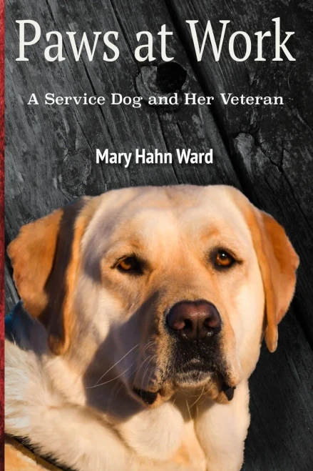 Paws At Work: A Service Dog And Her Veteran