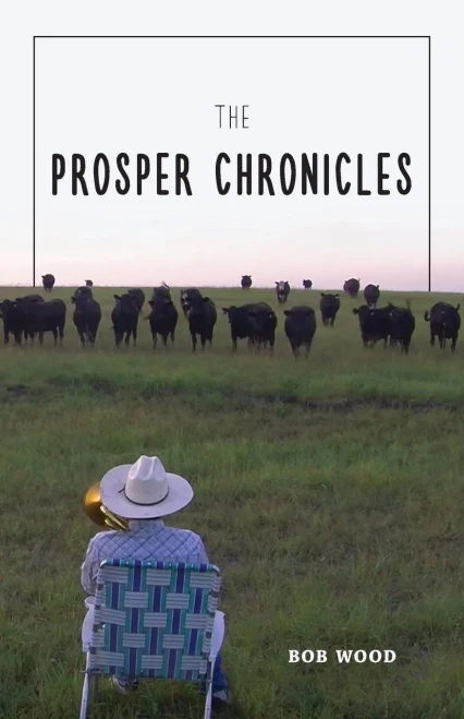 The Prosper Chronicles