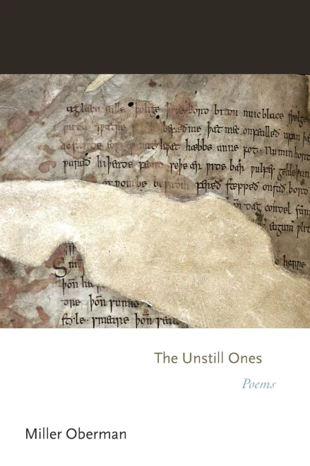 The Unstill Ones: Poems (Princeton Series Of Contemporary Poets, 138)