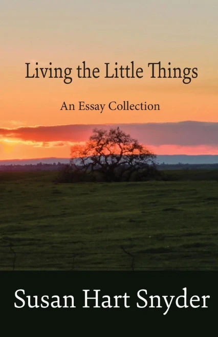 Living The Little Things: An Essay Collection