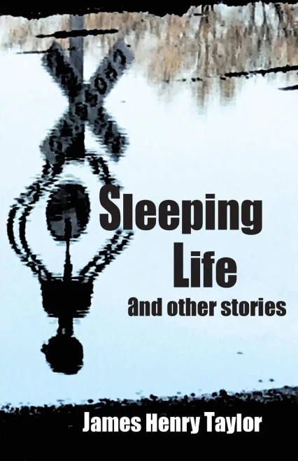 Sleeping Life And Other Stories