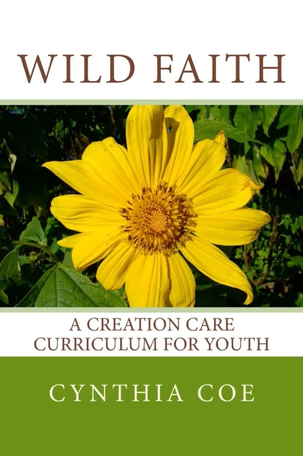 Wild Faith: A Creation Care Curriculum For Youth