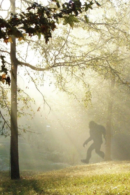 Finding Bigfoot And Other Stories