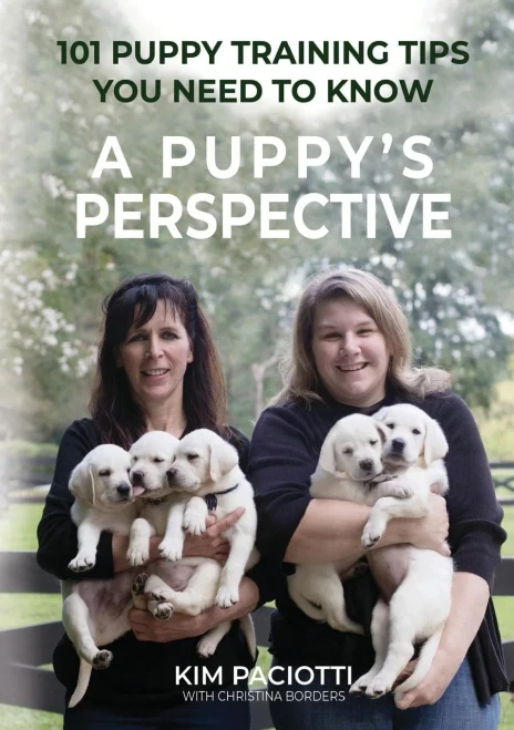 A Puppy'S Perspective: 101 Puppy Training Tips You Need To Know