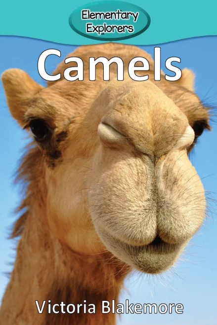 Camels (4) (Elementary Explorers)