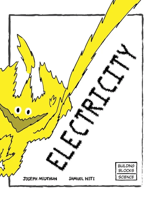 Electricity (Building Blocks Of Physical Science/Hardcover)