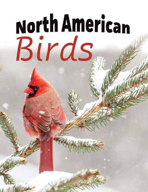 North American Birds: Extra-Large Print With Names (For Adults With Dementia and Other Life Challenges)
