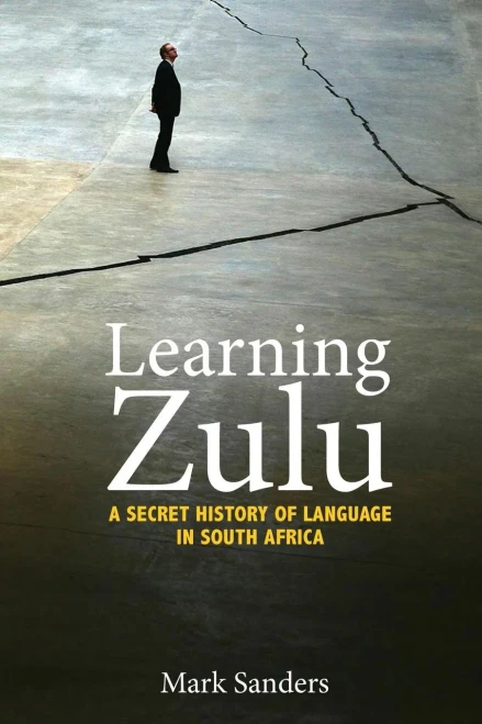 Learning Zulu: A Secret History Of Language In South Africa (Translation/Transnation, 37)