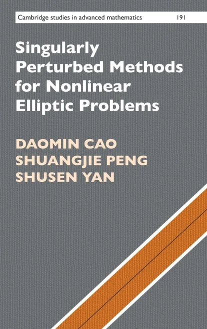 Singularly Perturbed Methods for Nonlinear Elliptic Problems (Cambridge Studies in Advanced Mathematics)