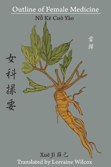 Outline Of Female Medicine