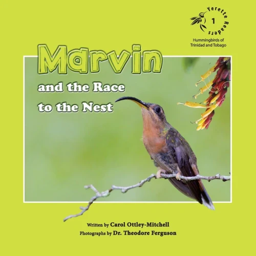 Marvin And The Race To The Nest