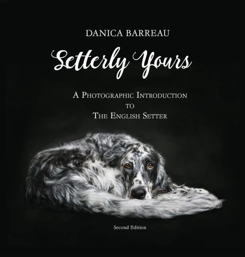 Setterly Yours: A Photographic Introduction To The English Setter