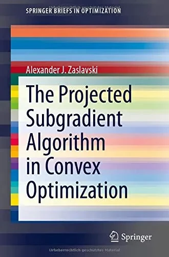 The Projected Subgradient Algorithm in Convex Optimization (SpringerBriefs in Optimization)