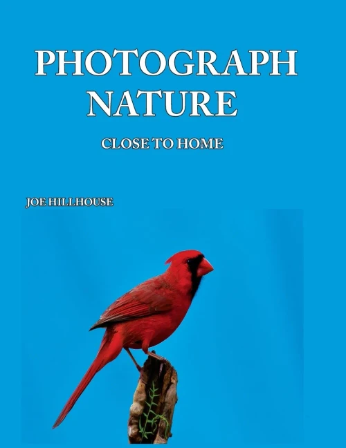 Photograph Nature: Close To Home