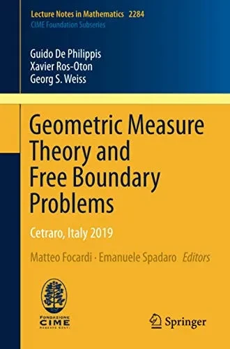Geometric Measure Theory and Free Boundary Problems: Cetraro, Italy 2019 (Lecture Notes in Mathematics)