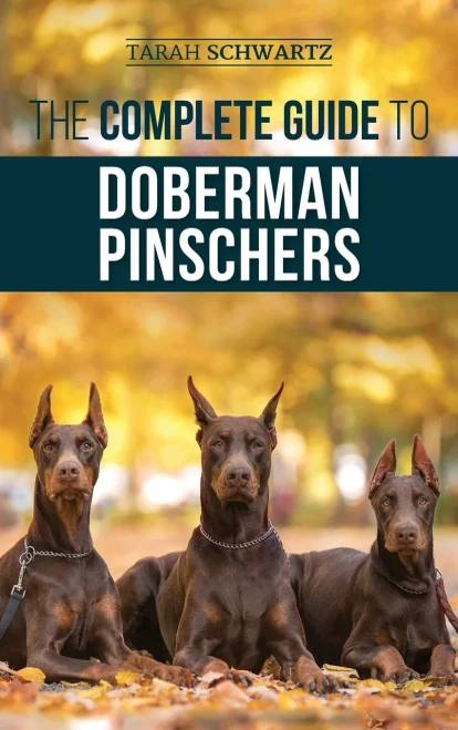 The Complete Guide to Doberman Pinschers: Preparing For, Raising, Training, Feeding, Socializing, and Loving Your New Doberman Puppy - Hardcover