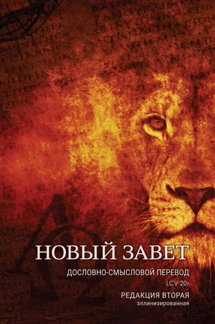 LCV'20r НЗ. Упрощённое ... п
 (Russian Edition)