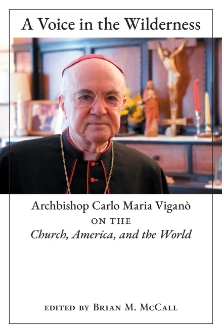 A Voice in the Wilderness: Archbishop Carlo Maria Viganò on the Church, America, and the World - Paperback