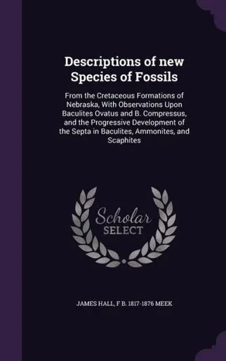 Descriptions of new Species of Fossils: From the Cretaceous Formations of Nebraska, With Observations Upon Baculites Ovatus and B. Compressus, and the ... Septa in Baculites, Ammonites, and Scaphites