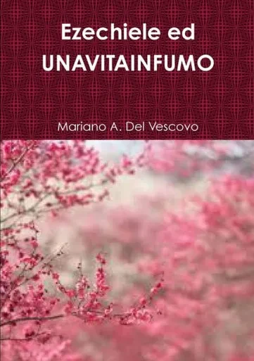 Ezechiele ed UNAVITAINFUMO (Italian Edition)