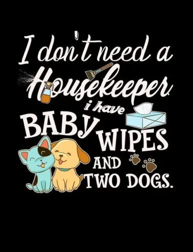 I Don't Need A Housekeeper I Have Baby Wipes: Funny Quotes and Pun Themed College Ruled Composition Notebook
