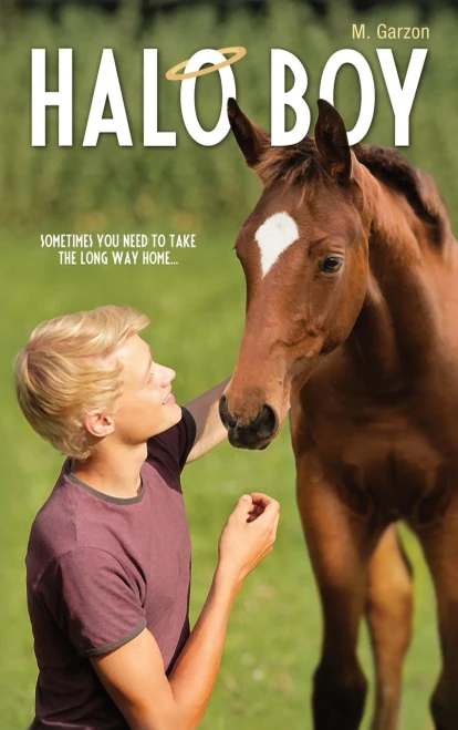 Halo Boy (Blaze of Glory Compnanion Books)