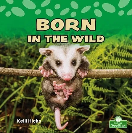 Born in the Wild (9781039662193)