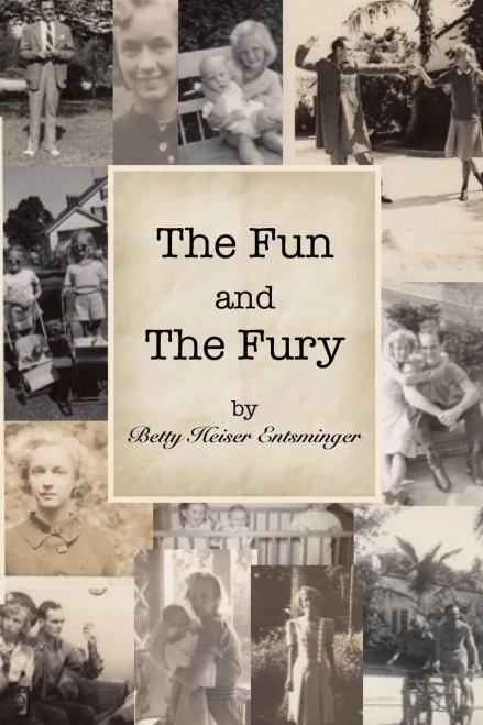 The Fun And The Fury