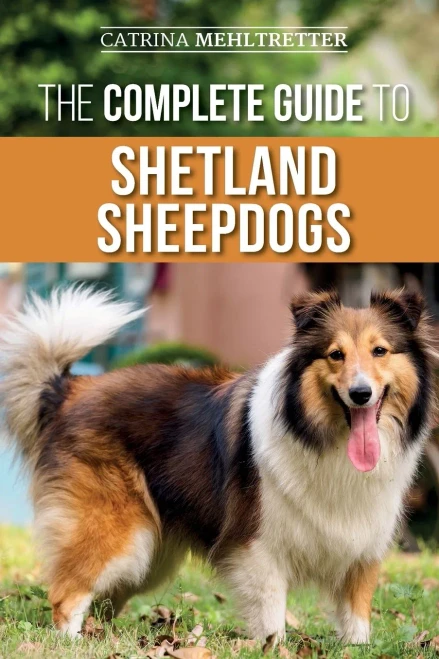 The Complete Guide to Shetland Sheepdogs: Finding, Raising, Training, Feeding, Working, and Loving Your New Sheltie - Paperback