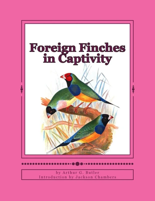 Foreign Finches In Captivity