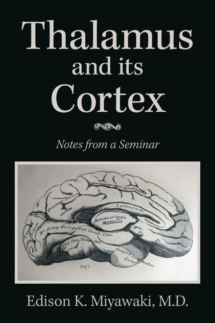 Thalamus and its Cortex: Notes from a Seminar - Paperback